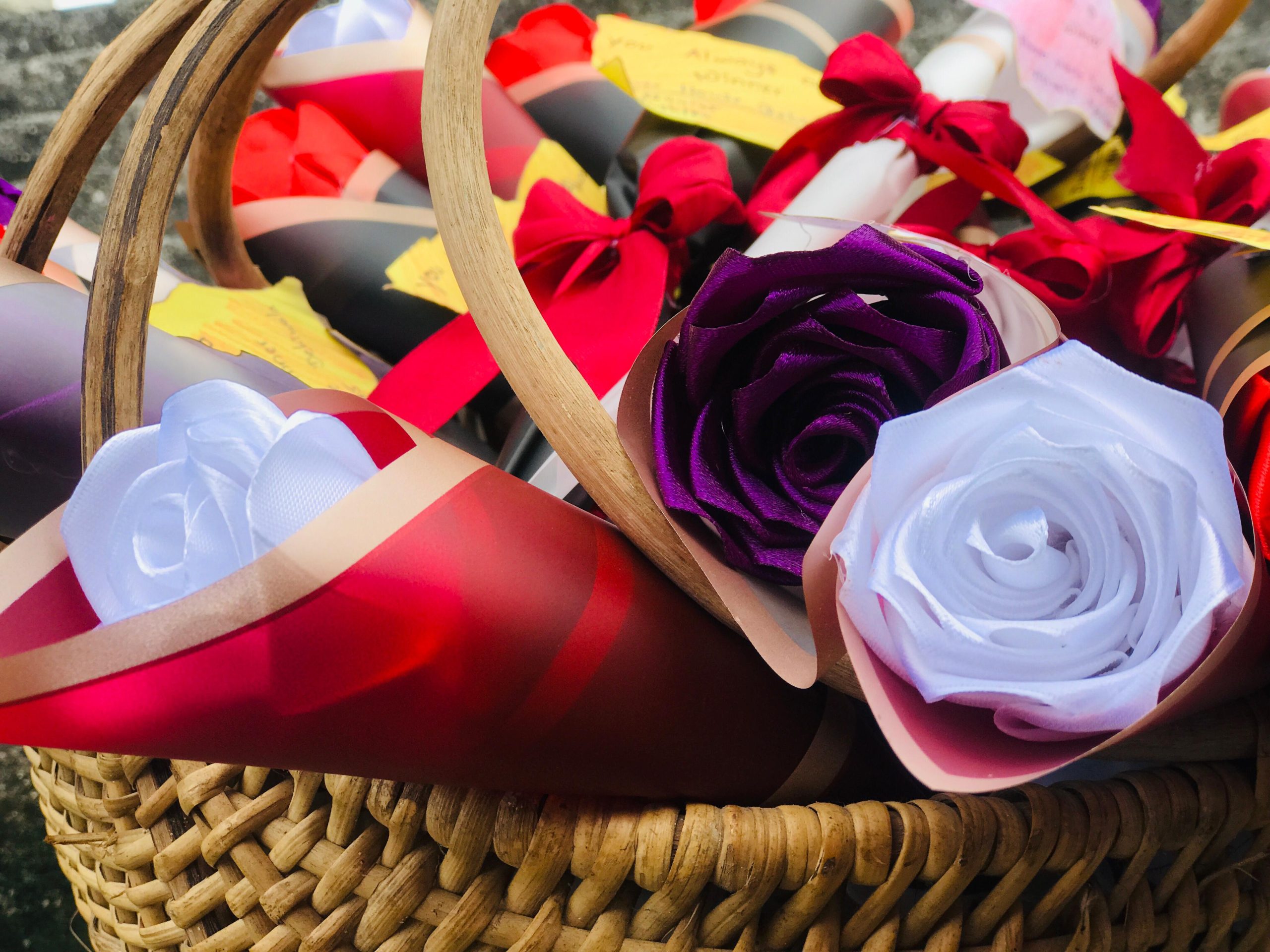 Single Rose - Image 3