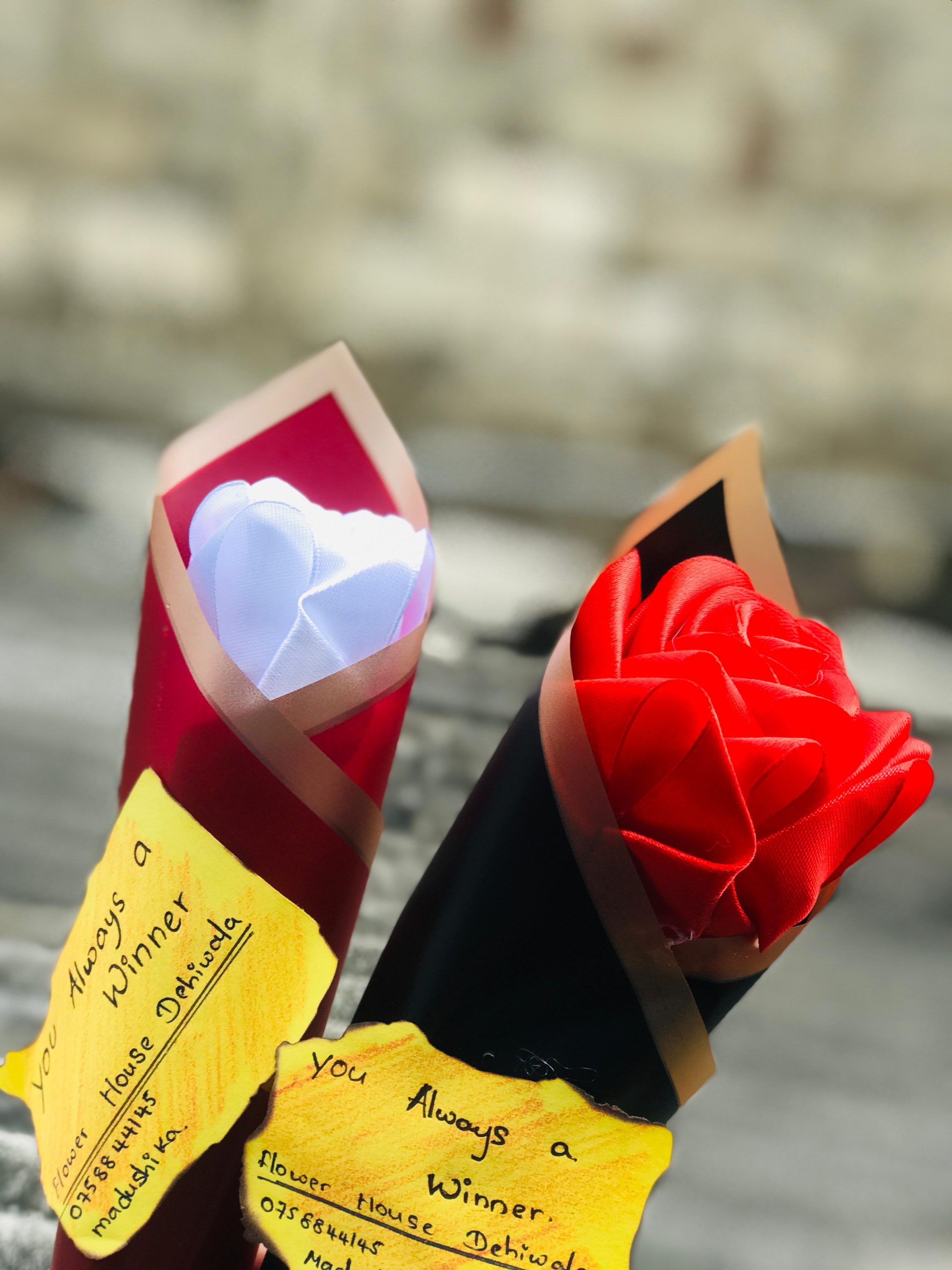 Single rose