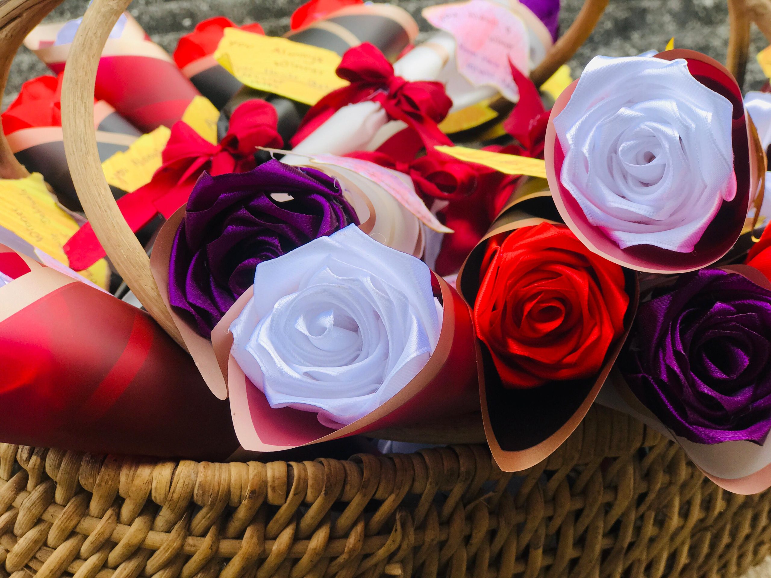 Single Rose - Image 9